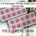 5Gm Kamagra 100Mg Oral Jelly 19